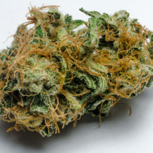 Bruce Banner Weed Strain for Sale